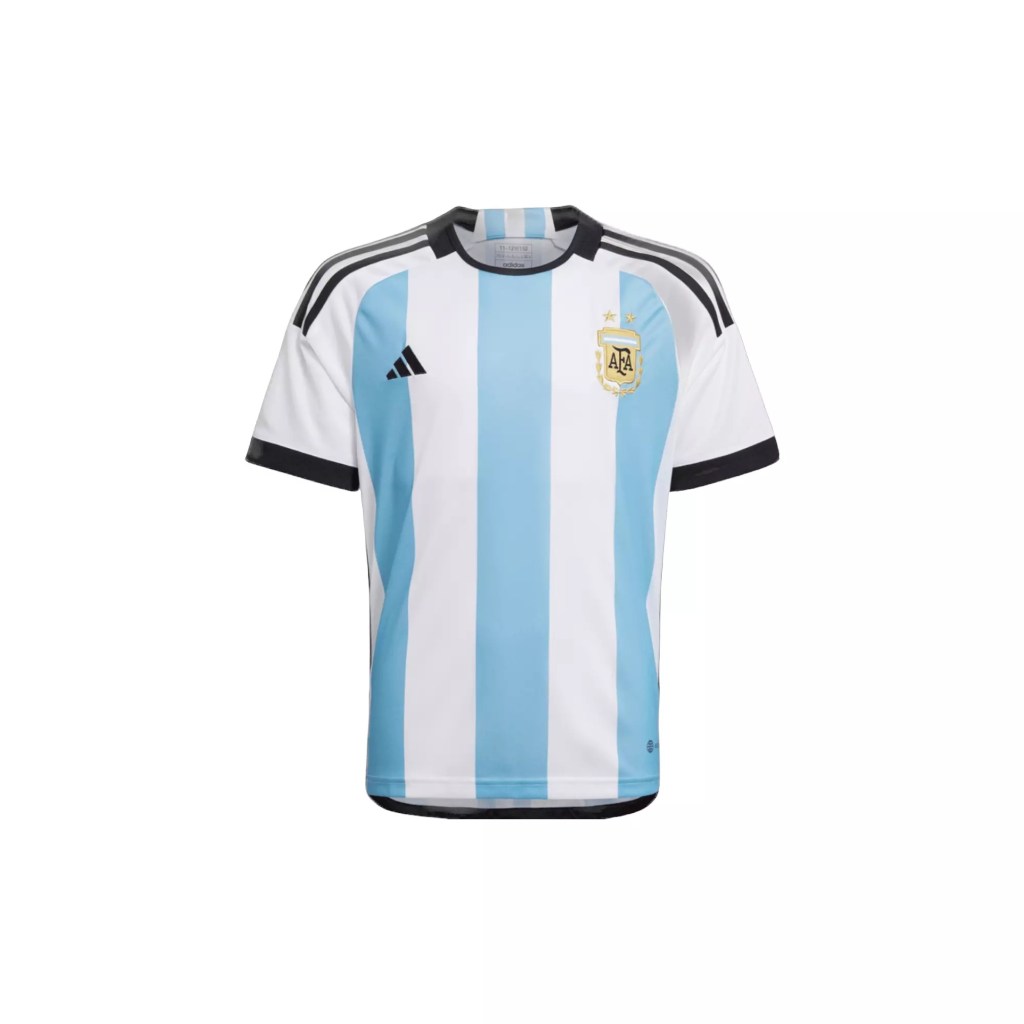 Light blue and white striped Argentina 2023-2024 home soccer jersey on a white basckground.